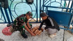 Babinsa Tarempa Sambangi Buruh Pelabuhan, Ingatkan Keamanan dan Keselamatan Kerja