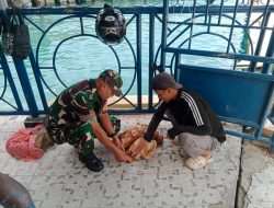 Babinsa Tarempa Sambangi Buruh Pelabuhan, Ingatkan Keamanan dan Keselamatan Kerja