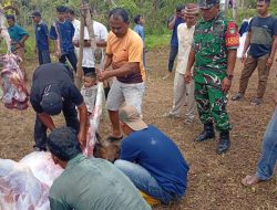 Babinsa dan Warga Kompak Sukseskan Pemotongan Hewan Kurban di Anambas