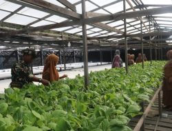 Tak Hanya Bangun Infrastruktur, TMMD Anambas Kini Fokus Ajari Warga Mandiri Pangan