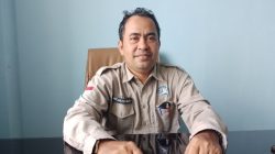 380 Ekor Sapi Tersedia di Anambas, DPPP Pastikan Kebutuhan Kurban Aman