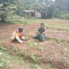 Babinsa Tarempa Turun ke Kebun, Dengar Keluhan Petani dan Dukung Ketahanan Pangan di Anambas