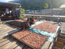 Babinsa Tarempa Dampingi Perajin Cumi Kering di Anambas, Dorong UMKM Pesisir Naik Kelas