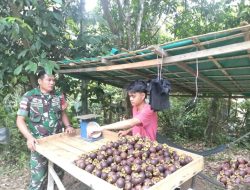 Babinsa Tarempa Imbau Pedagang Buah Musiman di Anambas Jaga Kualitas dan Stabilitas Harga