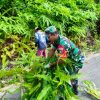 Semak Tutupi Bahu Jalan, Babinsa dan Warga Air Bini Anambas Bergerak Lakukan Pembersihan