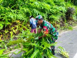 Semak Tutupi Bahu Jalan, Babinsa dan Warga Air Bini Anambas Bergerak Lakukan Pembersihan