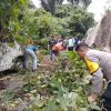 Polisi Sigap Evakuasi Mobil SPX Tertimpa Pohon Tumbang di Anambas, Sopir Sempat Terjebak