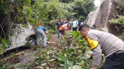 Polisi Sigap Evakuasi Mobil SPX Tertimpa Pohon Tumbang di Anambas, Sopir Sempat Terjebak
