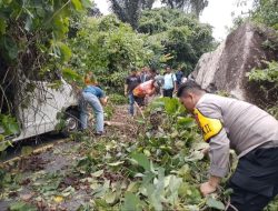 Polisi Sigap Evakuasi Mobil SPX Tertimpa Pohon Tumbang di Anambas, Sopir Sempat Terjebak