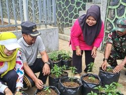 80 Polibeg Cabai Ditanam di Desa Tiangau Anambas, Babinsa Dorong Ketahanan Pangan
