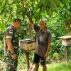 Babinsa Dorong Warga Anambas Kembangkan Budidaya Madu Kelulut, Bisa Jadi Penghasilan Tambahan
