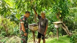 Babinsa Dorong Warga Anambas Kembangkan Budidaya Madu Kelulut, Bisa Jadi Penghasilan Tambahan